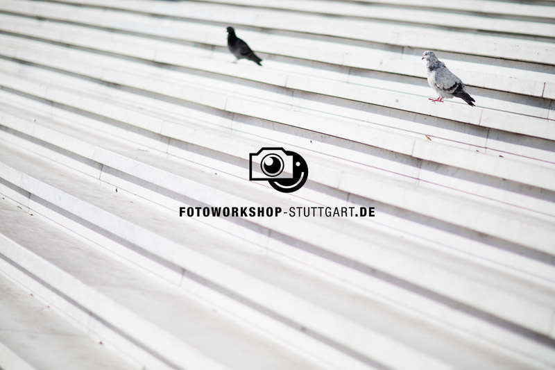 1-wasserzeichen-mitte-100-deckkraft-50gross-Fotokurs-Fotoworkshop-Fotocoach-Fotocoaching-Stuttgart