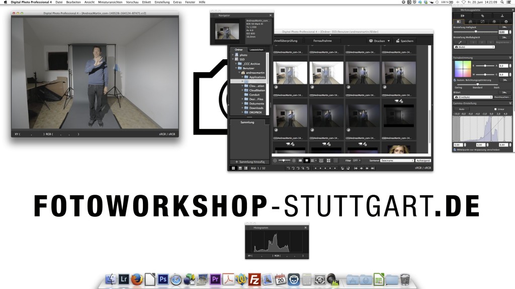 Canon DPP 4.0 Oberfläche individuell konfigurierbar