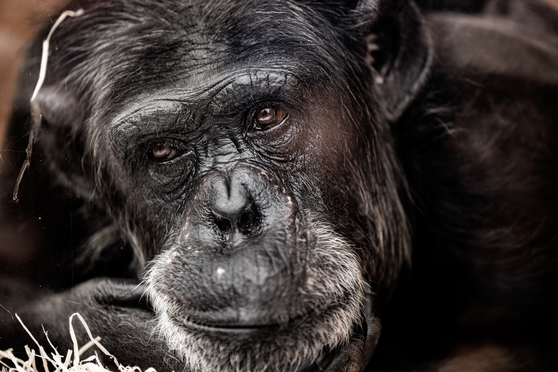 5-Tierfotografie-Fotokurs-Fotoworkshop-Stuttgart