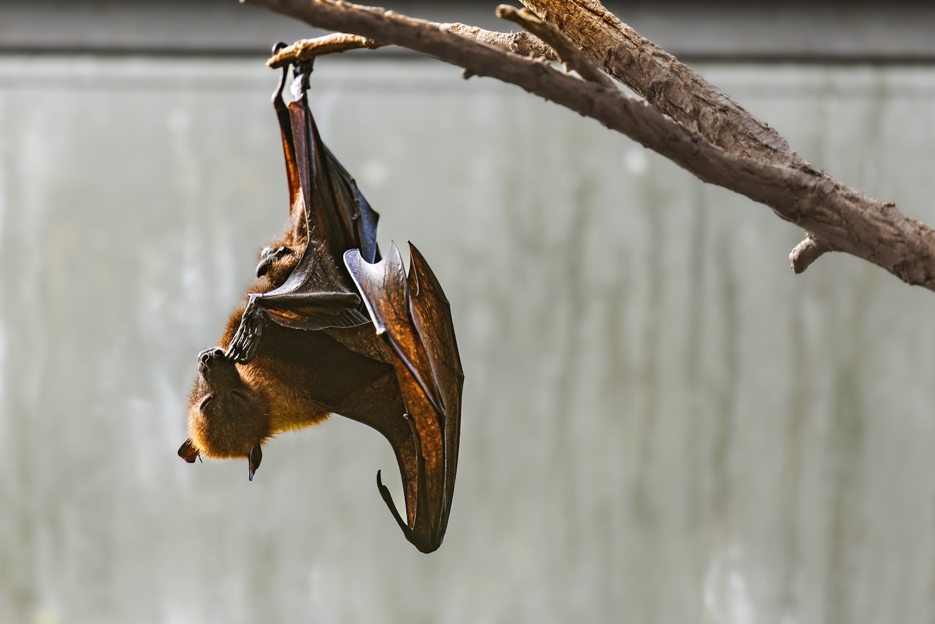 Wilhelma-Fotokurs-Stuttgart-Tierfotografie-15