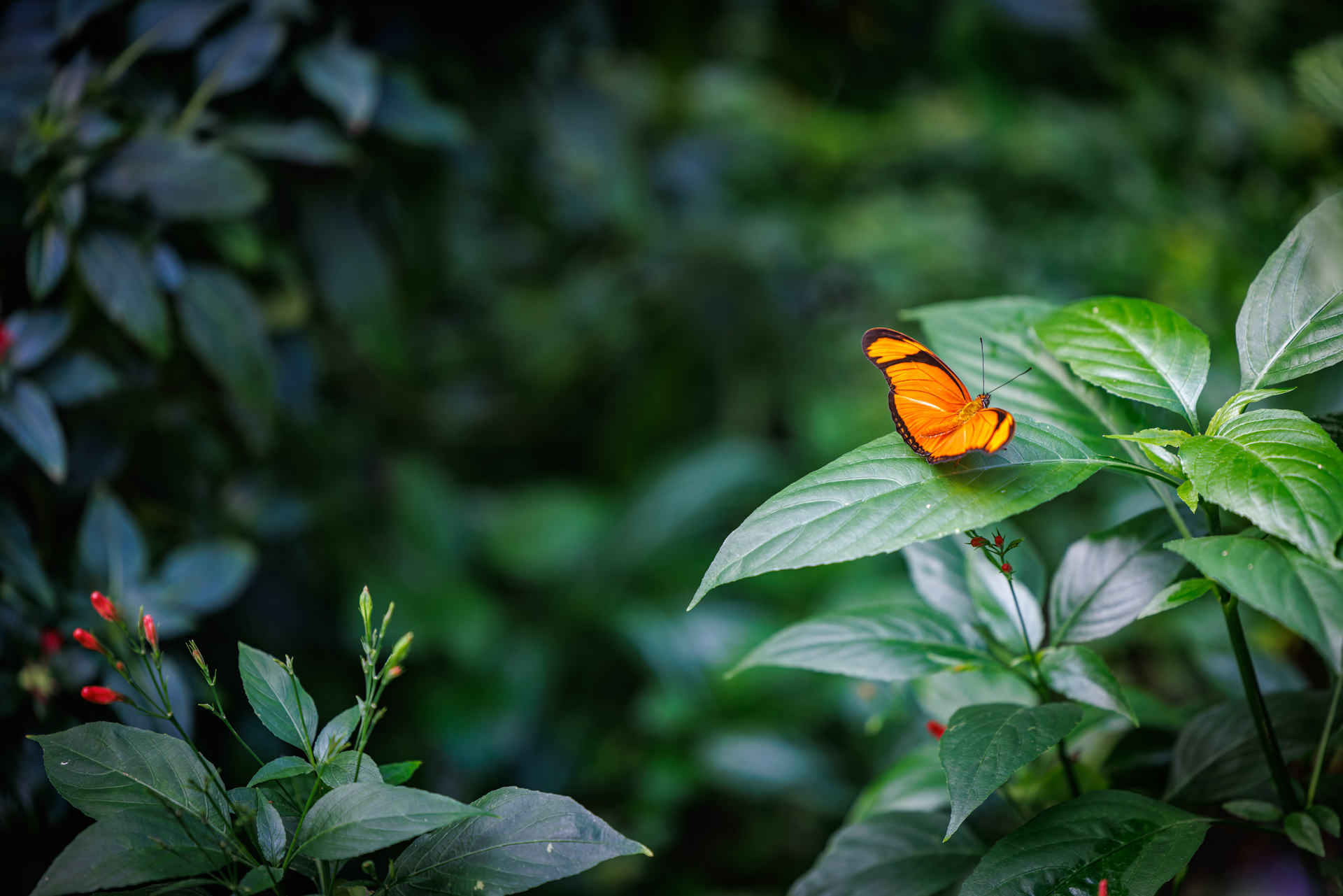 Wilhelma-Fotokurs-Stuttgart-Tierfotografie-16