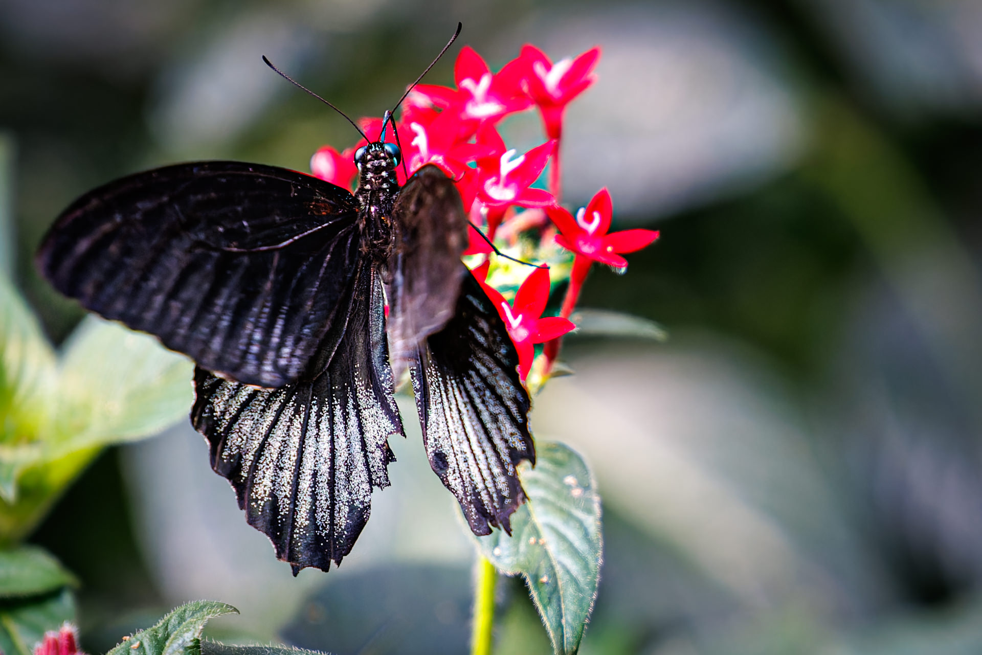 Wilhelma-Fotokurs-Stuttgart-Tierfotografie-17