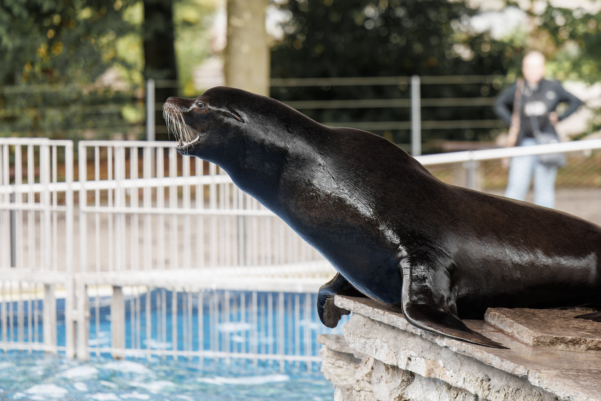 Wilhelma-Fotokurs-Stuttgart-Tierfotografie-2