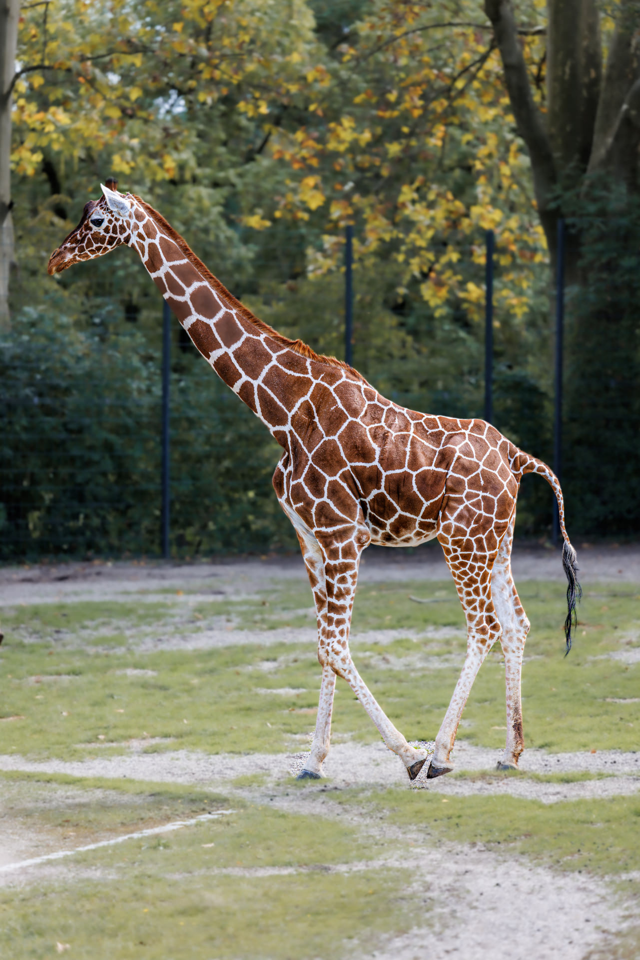 Wilhelma-Fotokurs-Stuttgart-Tierfotografie-20