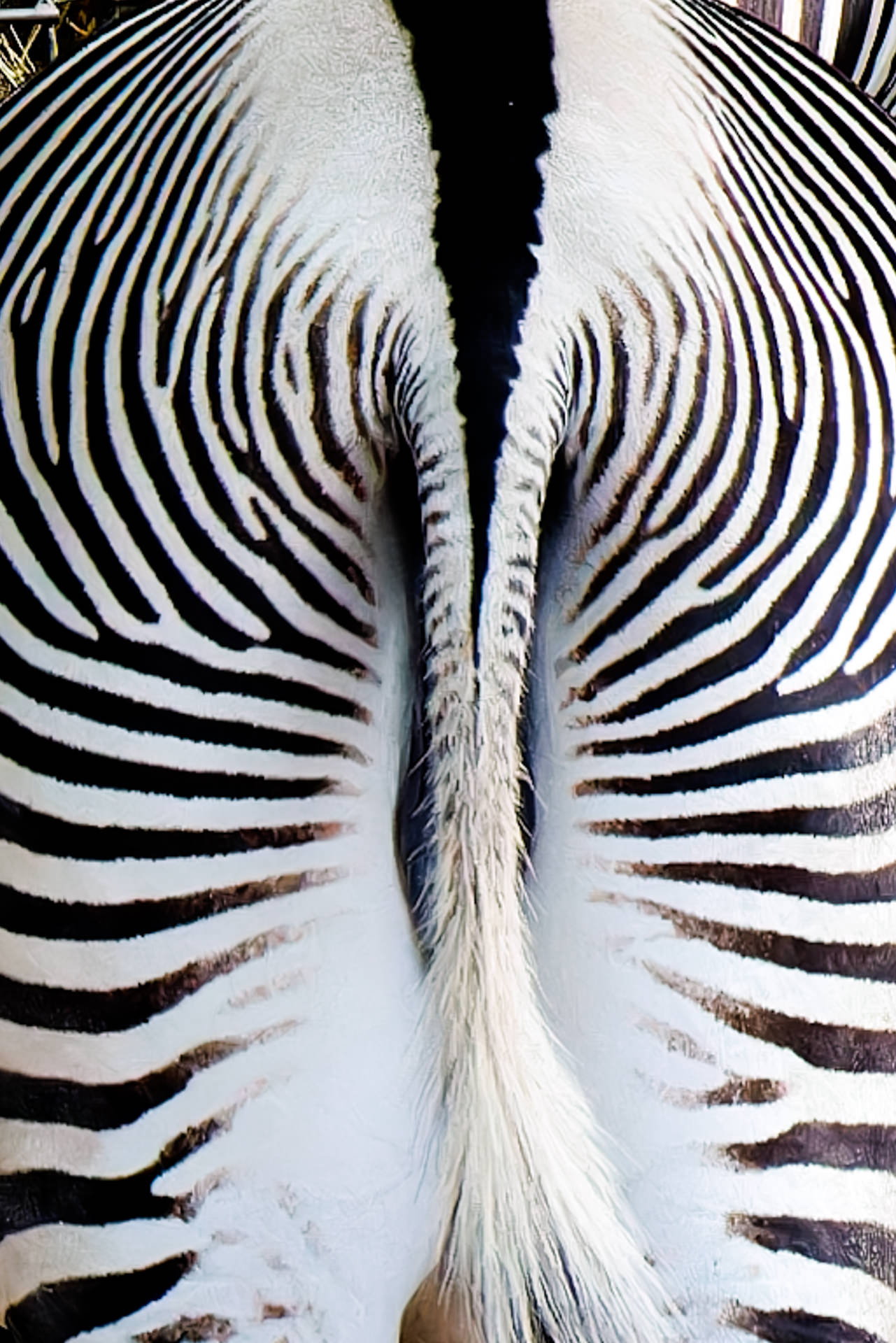 Wilhelma-Fotokurs-Stuttgart-Tierfotografie-22