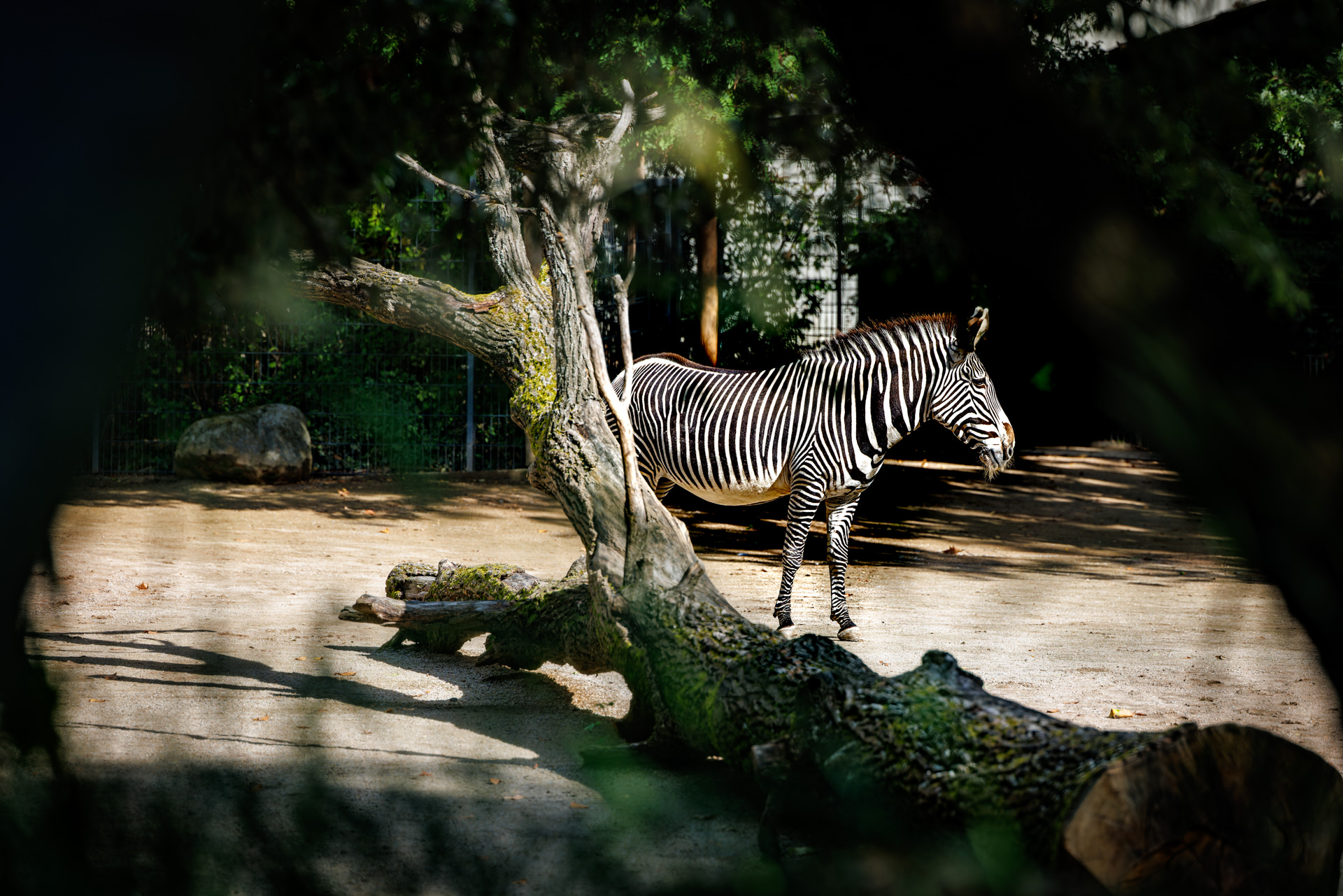 Wilhelma-Fotokurs-Stuttgart-Tierfotografie-23