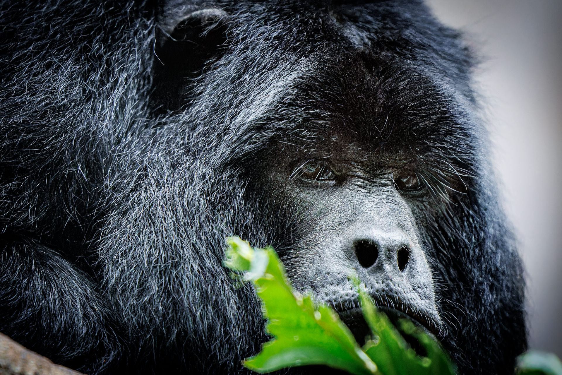 Wilhelma-Fotokurs-Stuttgart-Tierfotografie-7