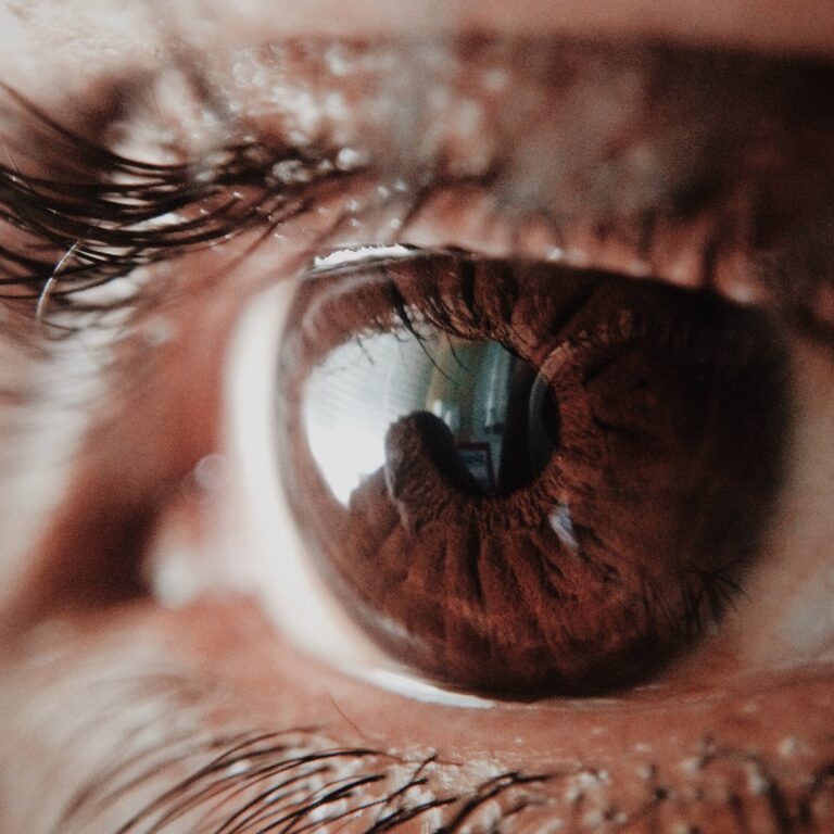 Neues Sehen Fotografischer Blick Online