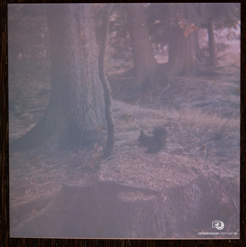 Lomografie mit Kodak Instamatic 56 - Ergebnisfoto Zwei