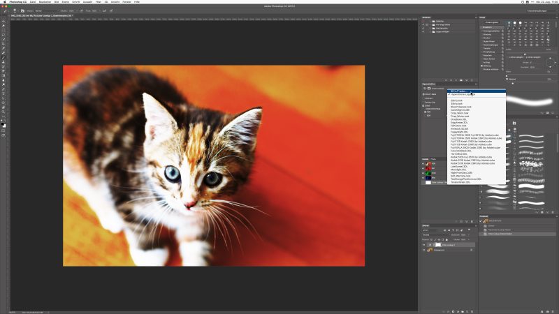 3d-lut-in-photoshop-konfigurieren-laden-schneller-farblook-fotoworkshop-stuttgart